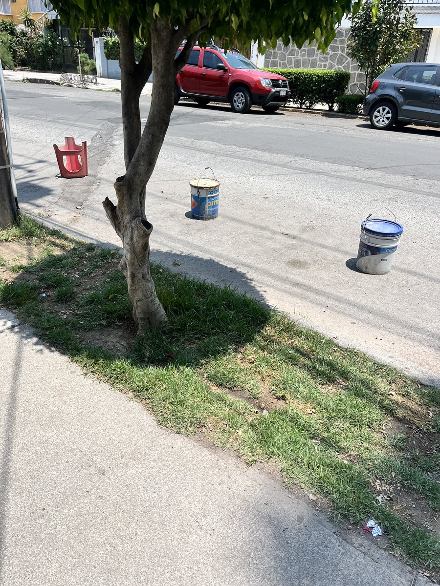 Del Valle Reportes tweet media