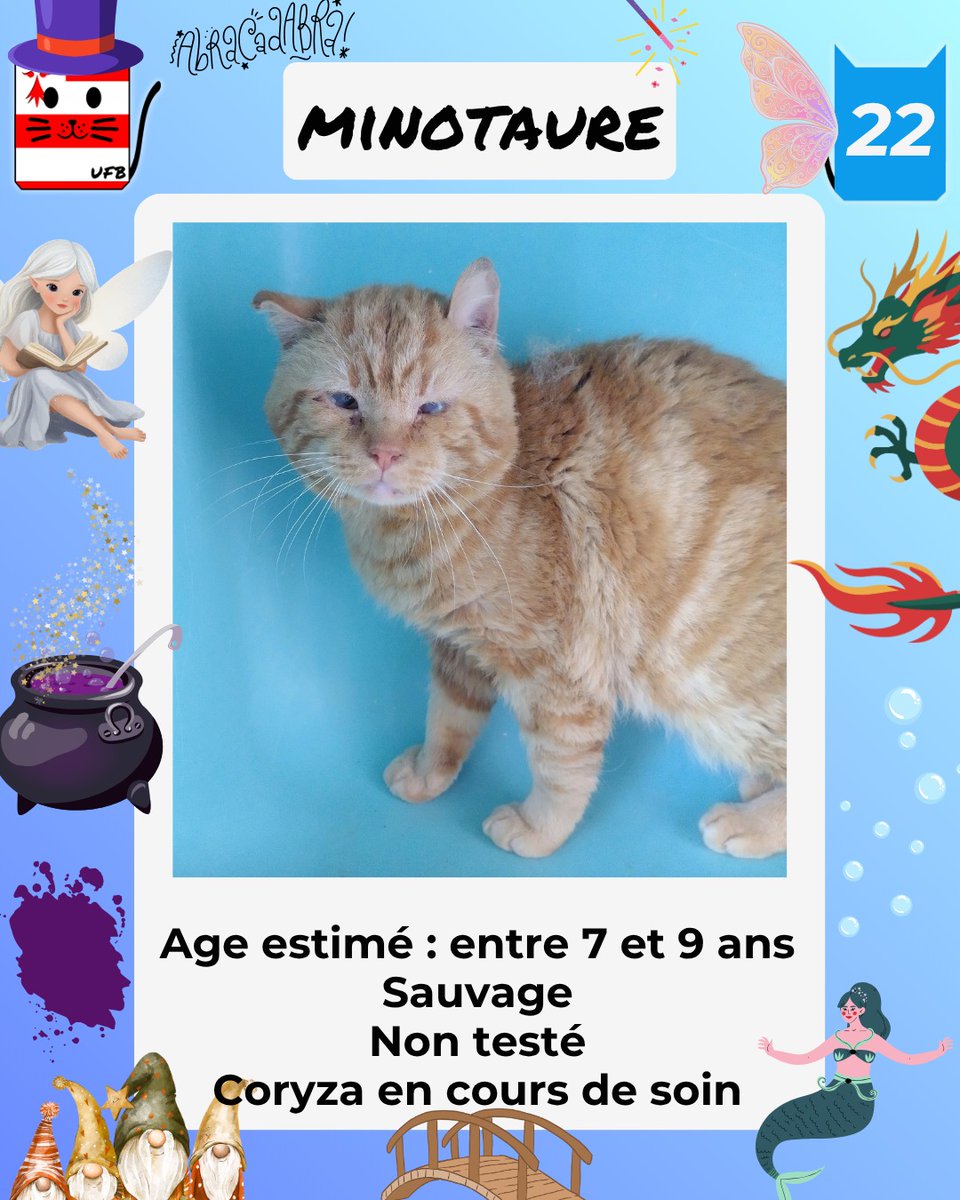 justine44 tweet media