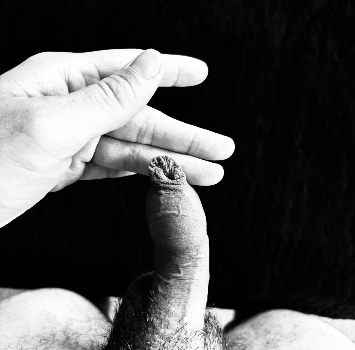 🇺🇸🗽 tweet media