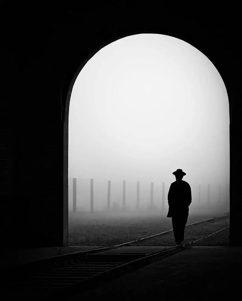 𝙈𝙖𝙟𝙖 𝙎𝙚𝙣𝙙𝙖  tweet media