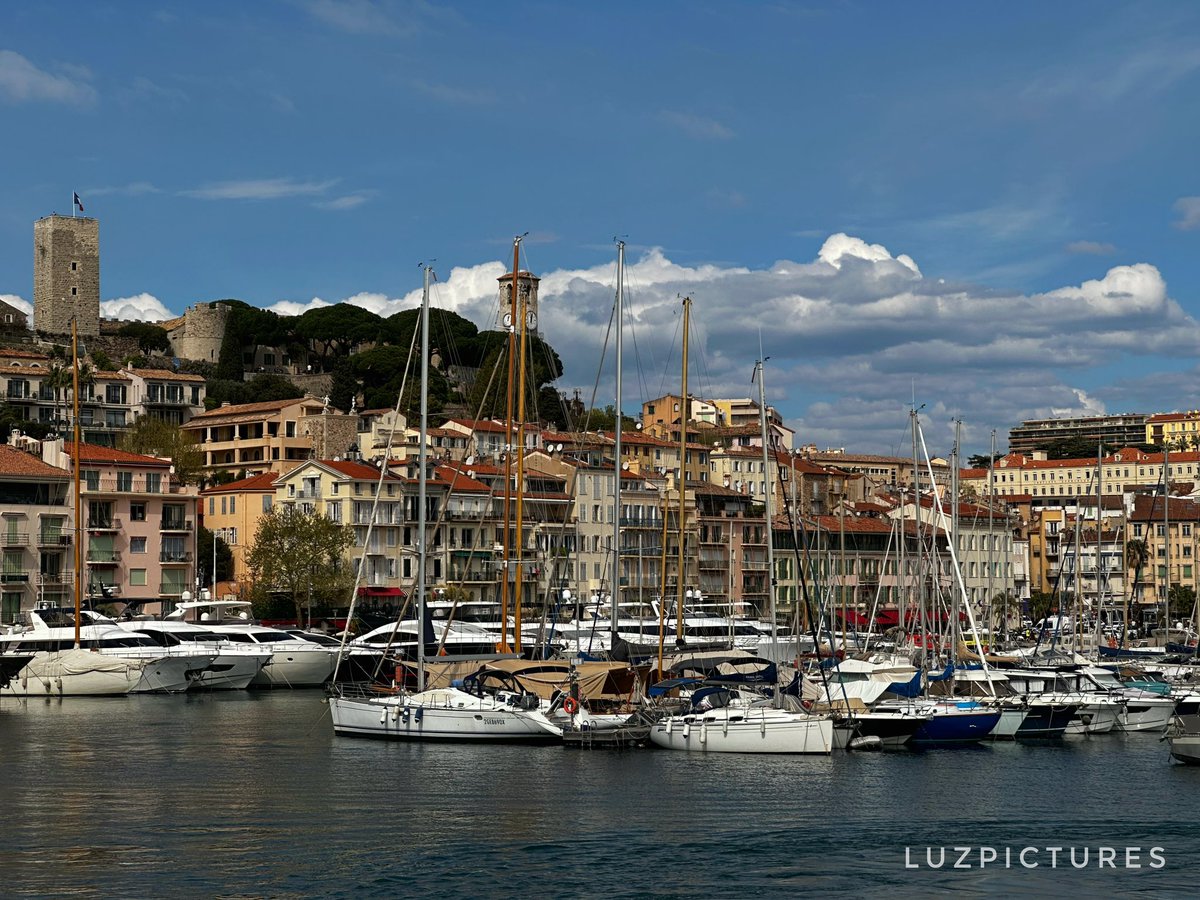 LuzPictures tweet media