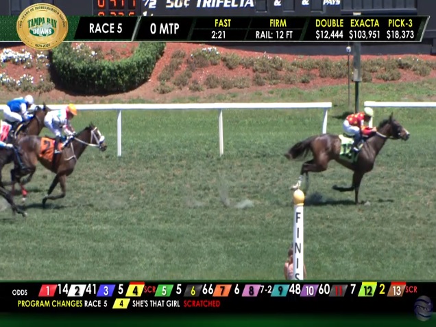 rebelsart's tweet photo. An excellent 2nd place for Mia Nicholls @miaclare43 and Yammy Yammy Bella in race 5 on Sunday at Tampa Bay Downs @TampaBayDownsFL for trainer Luis Gonzalez‼️ Good ride Mia‼️🏇🥈🇺🇸
#goodride #horseracing #TampaBay #Florida @Trotternicholls @NichollsClare @NeilTho02681313 @titchy34 @chipexpress @ConchitaMTurf @akira96643563 @Alicebond1515 @RenCarothers