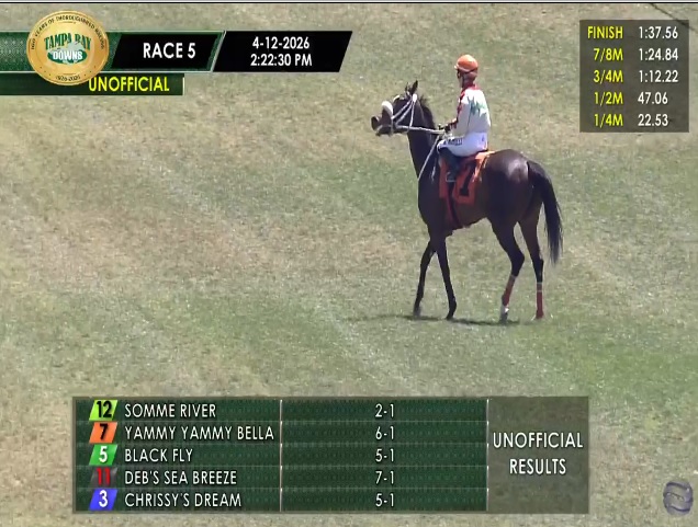 rebelsart's tweet photo. An excellent 2nd place for Mia Nicholls @miaclare43 and Yammy Yammy Bella in race 5 on Sunday at Tampa Bay Downs @TampaBayDownsFL for trainer Luis Gonzalez‼️ Good ride Mia‼️🏇🥈🇺🇸
#goodride #horseracing #TampaBay #Florida @Trotternicholls @NichollsClare @NeilTho02681313 @titchy34 @chipexpress @ConchitaMTurf @akira96643563 @Alicebond1515 @RenCarothers
