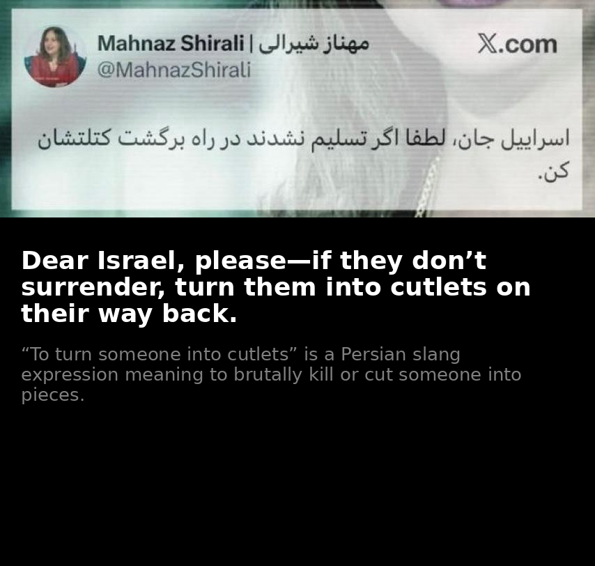 Ameneh Dehshiri شراره tweet media