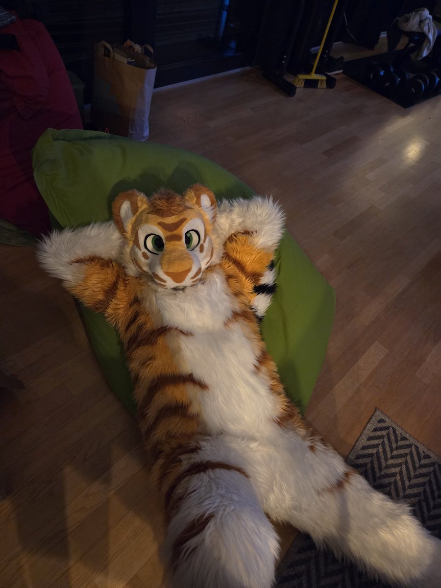 CaidaTigre's tweet photo. waiting for some bellyrubs https://t.co/TAAOP1ksto