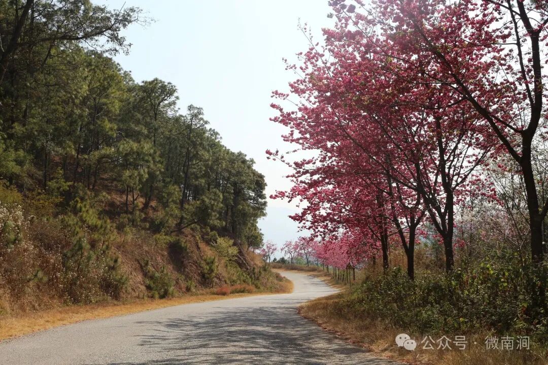 tvcabinets tweet media