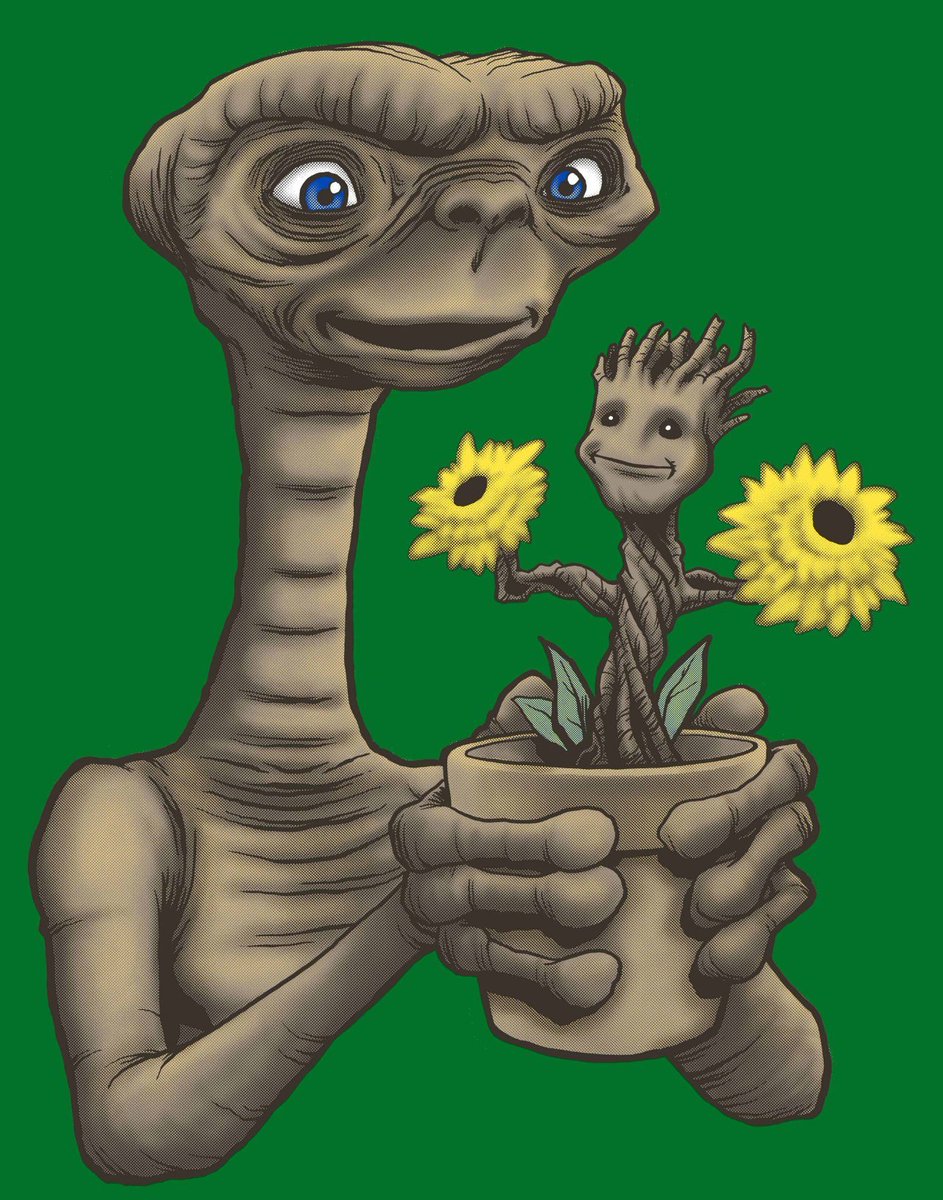 Rob (Flack) O'Hara tweet media