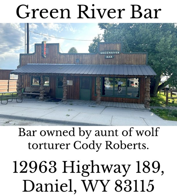 ThePatrioticBlonde🇺🇸 tweet media