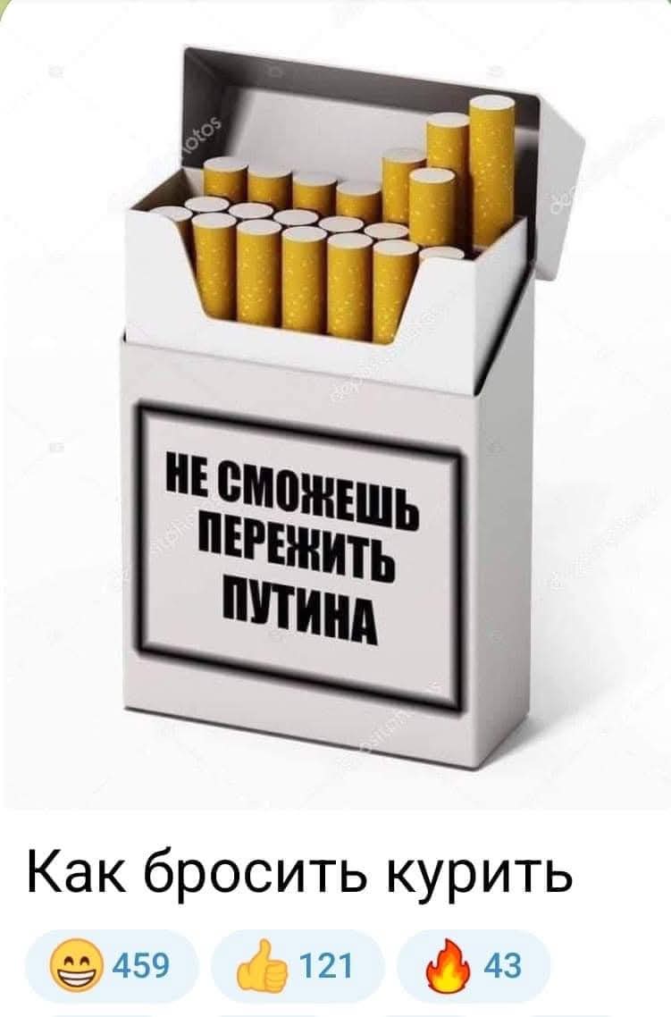 Один на льдине tweet media