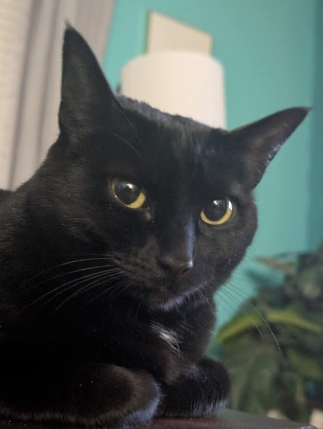 [archer] tweet media