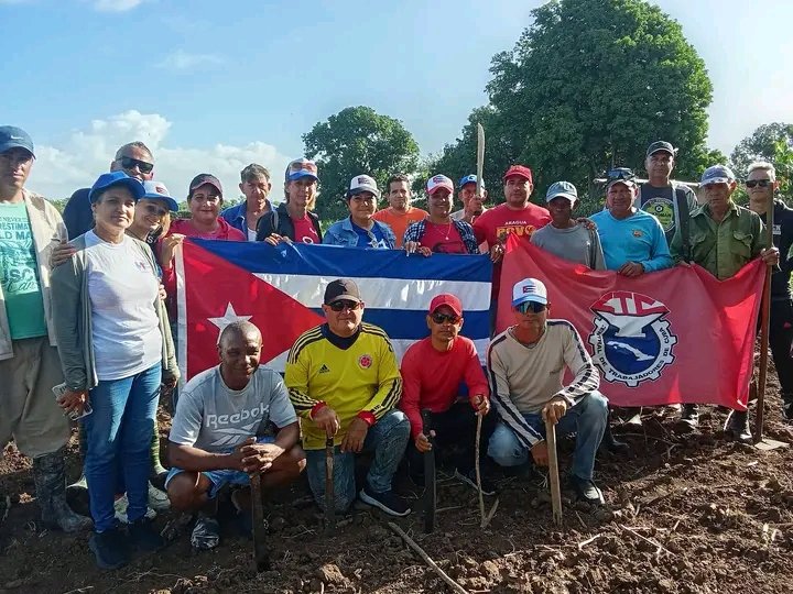 #PorCubaJuntosCreamos,desde #Majibacoa,nos fuimos hoy de trabajo productivo,para festejar el advenimiento del 1ro de Mayo,Día Internacional de los trabajadores.
#CubaEstaFirme
#PorLasTunasLaVictoria
#TumbaElBloqueoGenocida