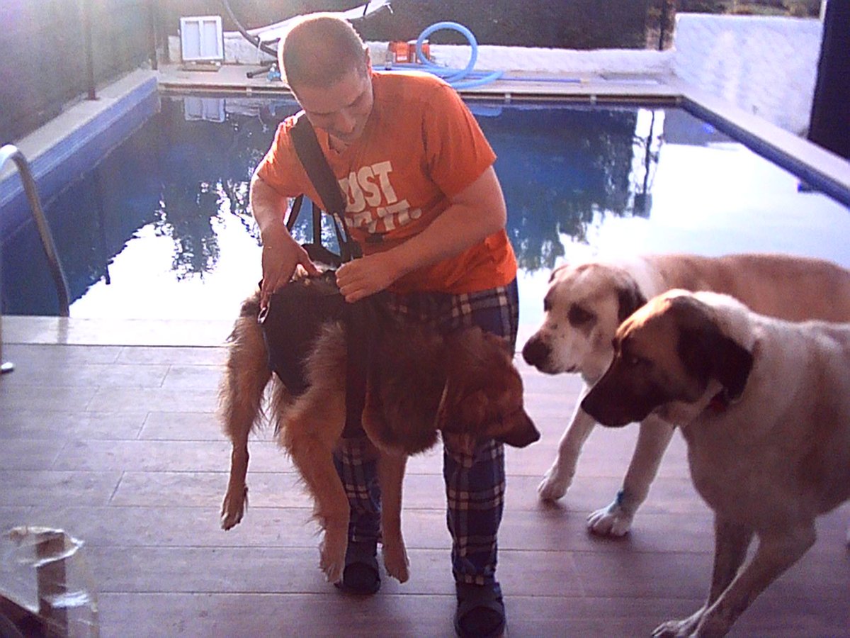 BALLİ BAL tweet media