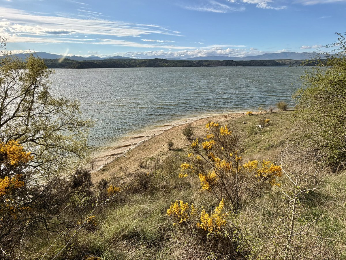 nachoramosc's tweet image. Playa de Guadalajara. #Castilla #Guadalajara