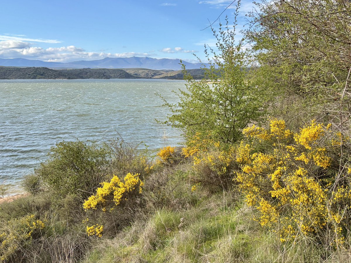 nachoramosc's tweet image. Playa de Guadalajara. #Castilla #Guadalajara