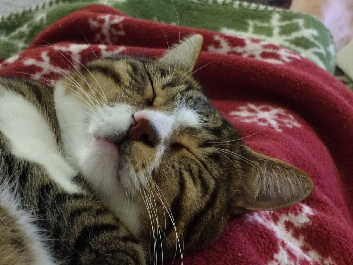 Sevil Kale tweet media