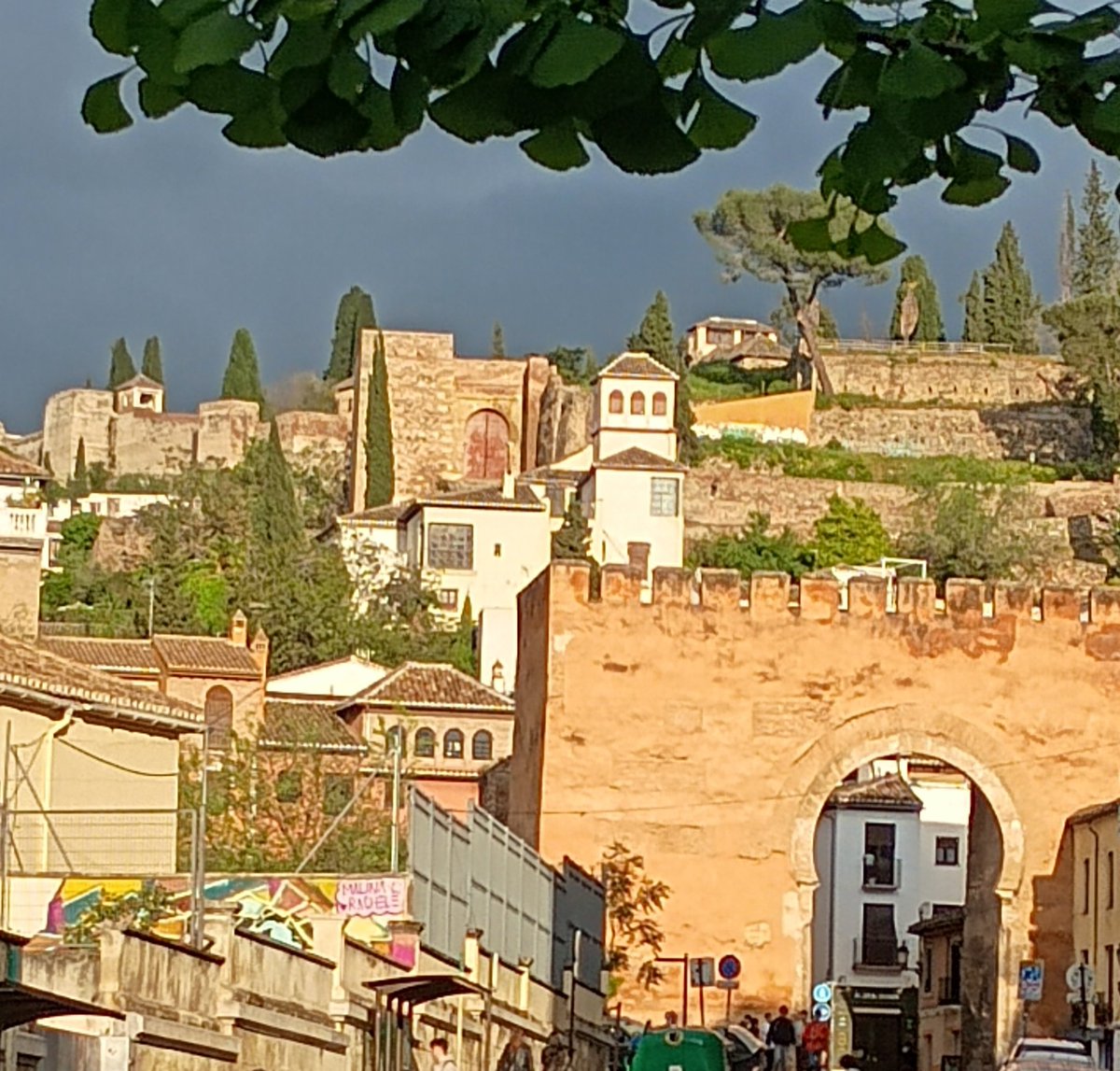 BlaBlaBlito tweet media