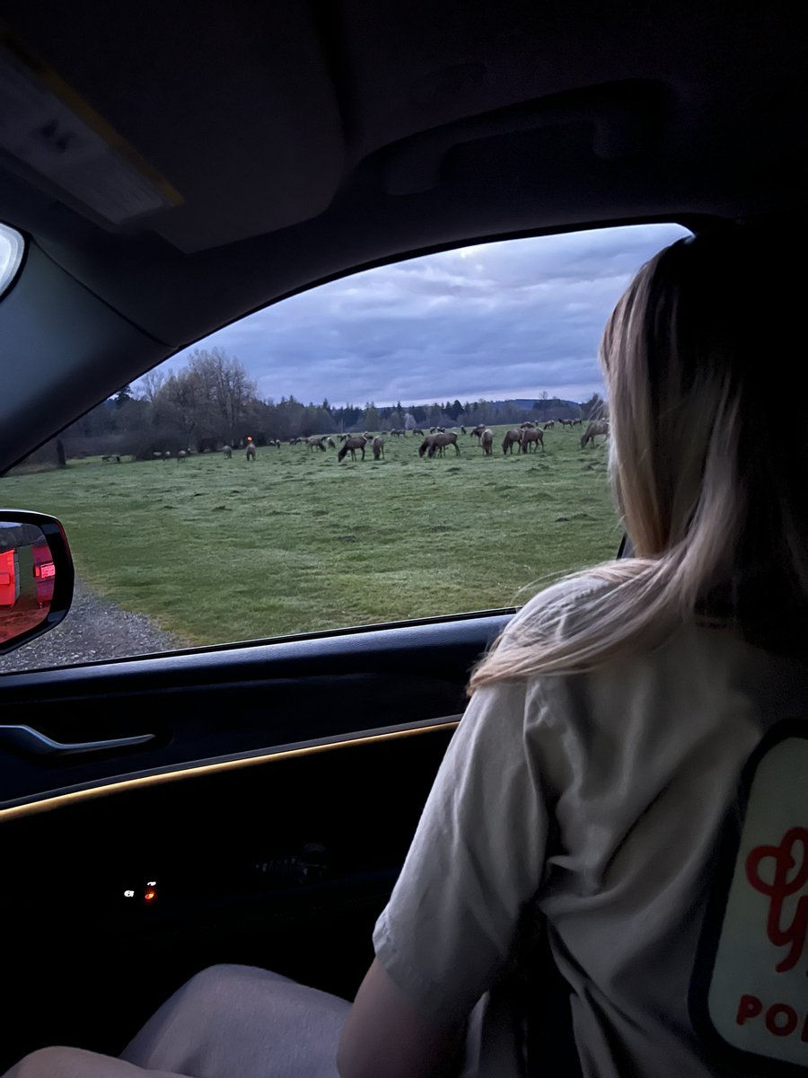 CT3939's tweet photo. Always thought I’d be a city guy, but last night confirmed the move we made to the mountains. Picked up soft serve ice cream and a little burger joint and then I parked by a field near our house with my wife and son. We just watched a herd of 200+ elk graze for an hour as the sun went down 👌🏻