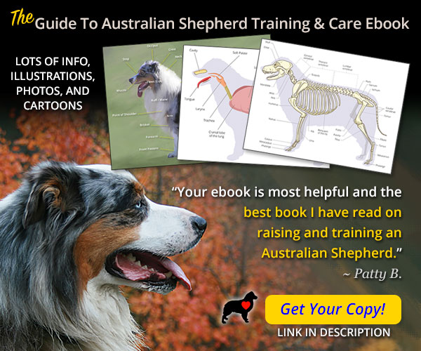 AussieShepLover's tweet image. The GUIDE TO AUSSIE TRAINING AND CARE Ebook! 🐾💖🎓
🔶 Created by Aussie Lovers, for Aussie Lovers...
🔶 OVER 40% OFF—GET YOUR COPY TODAY!!
🔶 Enter "ASL40" at Checkout 👍
australian-shepherd-lovers.com/asl-ebook-tw

#australianshepherd #aussie #dogtraining #puppytraining #aussielovers