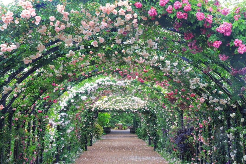 Casa Lettori tweet media