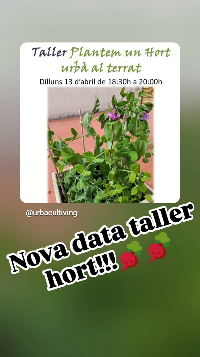 UrbaCultiving - El meu hortet urbà tweet media