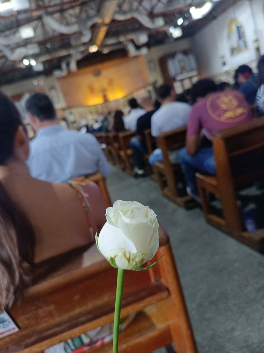 Messi Goiano (@messigoiano) on Twitter photo 