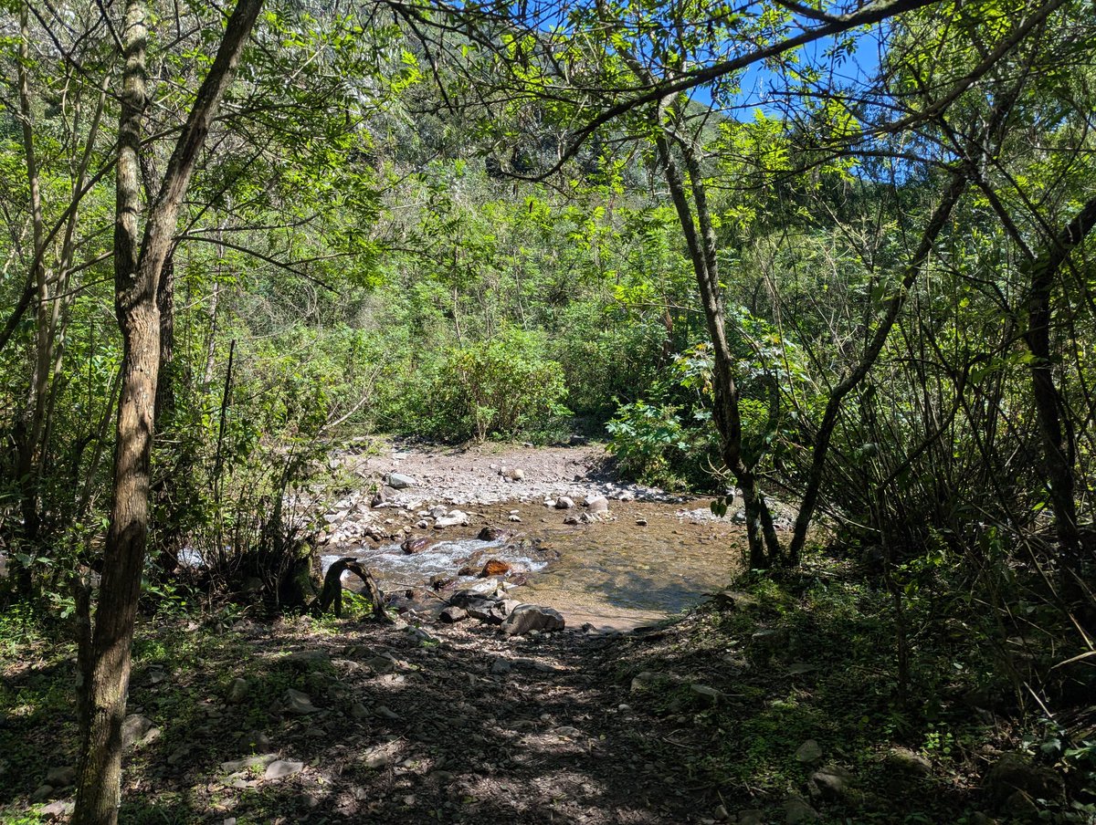 chels! ☻ tweet media