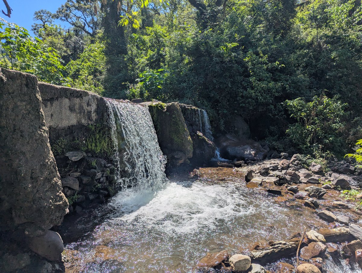 chels! ☻ tweet media