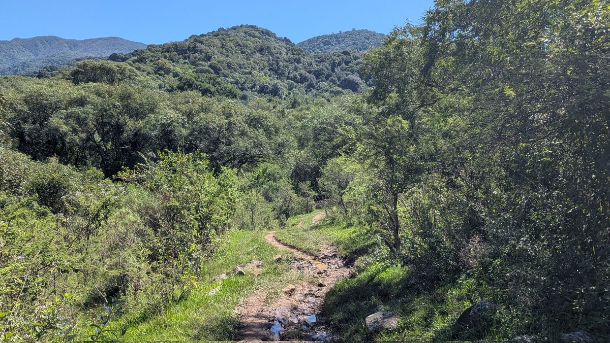 chels! ☻ tweet media