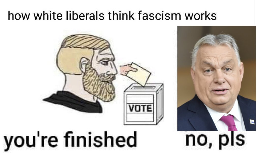 Basil🧡 tweet media