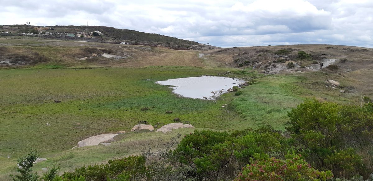 Camilo Andrés Castañeda Neira tweet media