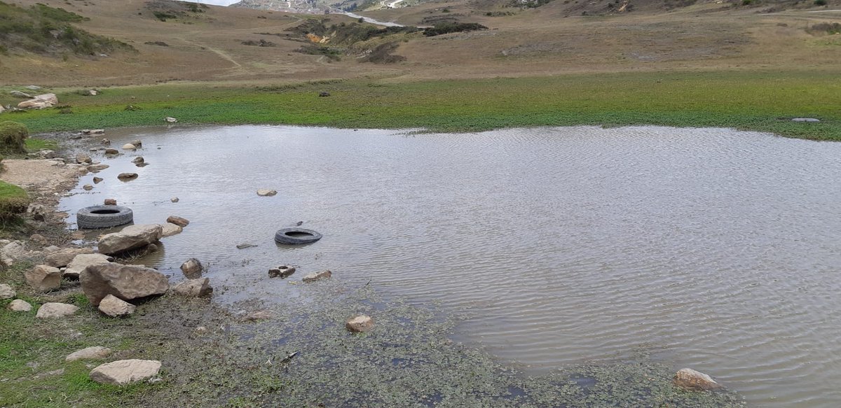 Camilo Andrés Castañeda Neira tweet media