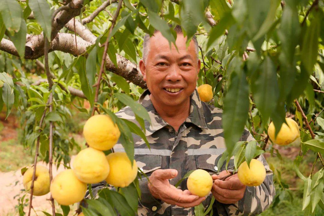 Nermine Jabbarli tweet media