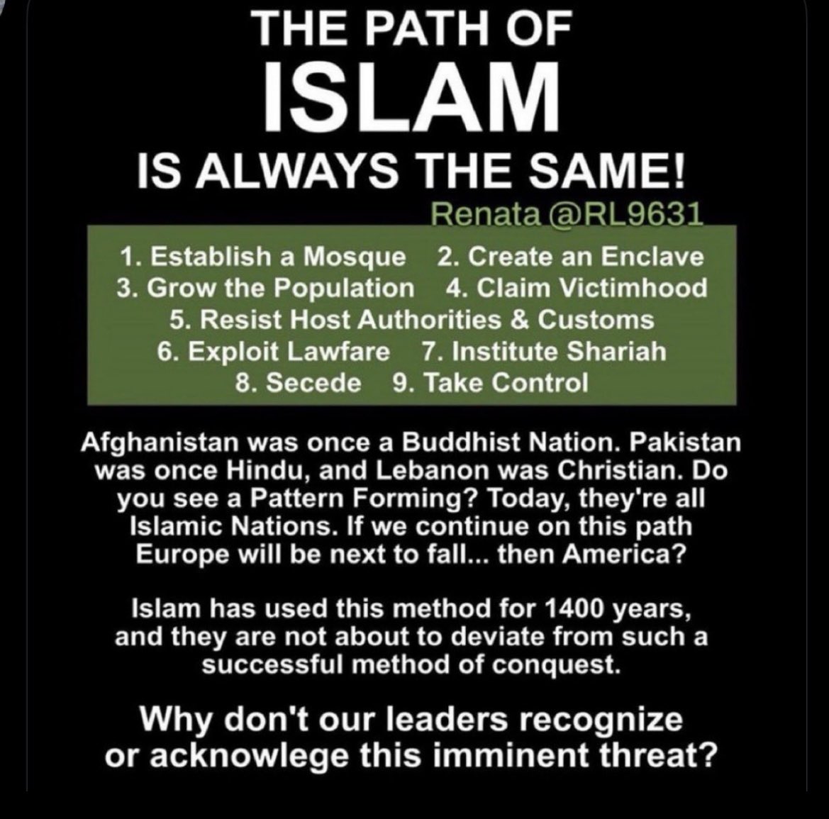 lynanzalone tweet media