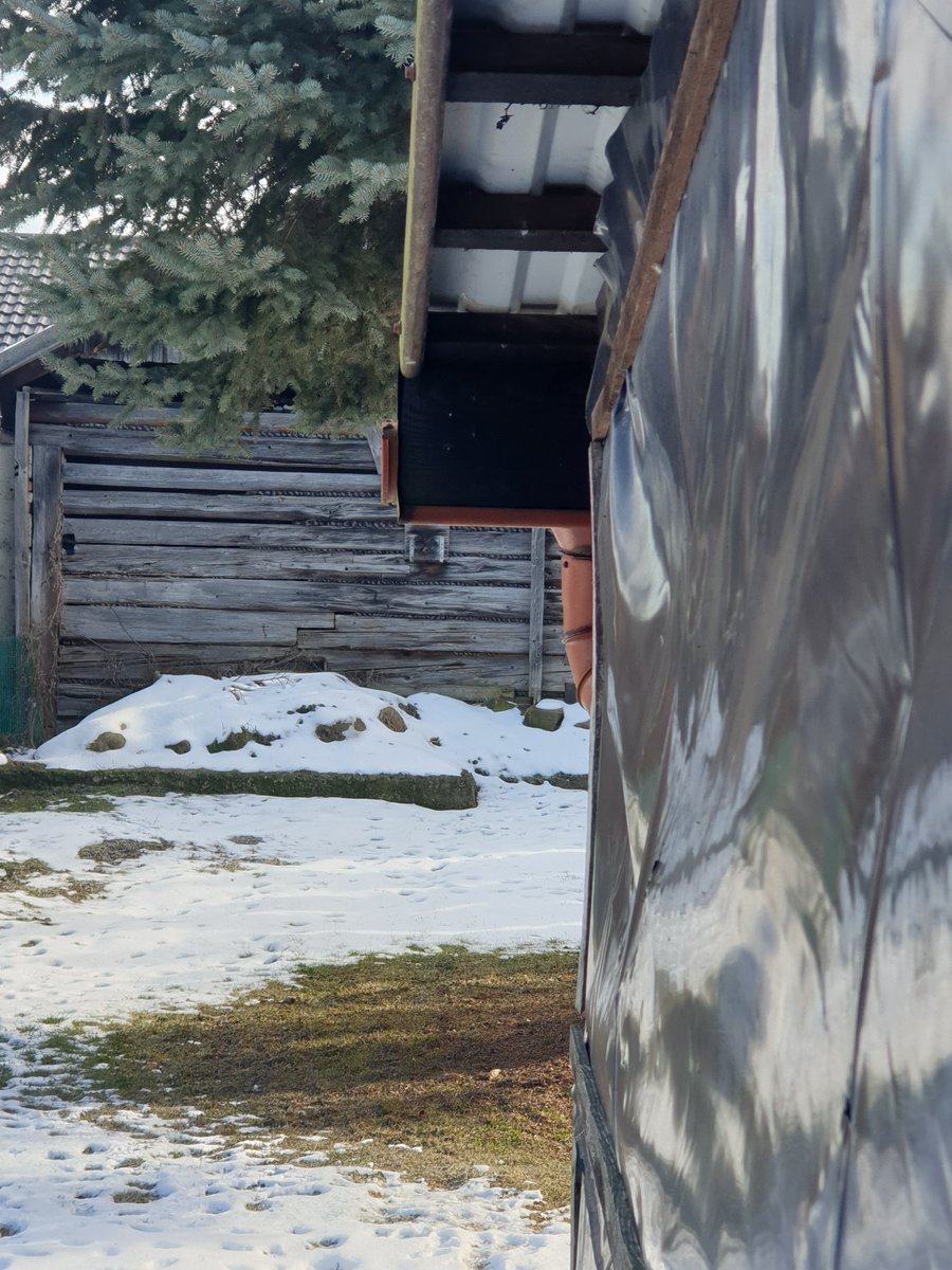 IceView_Nine's tweet image. Thursday is here, have a great morning and wonderful day.

#GoodMorning #gm