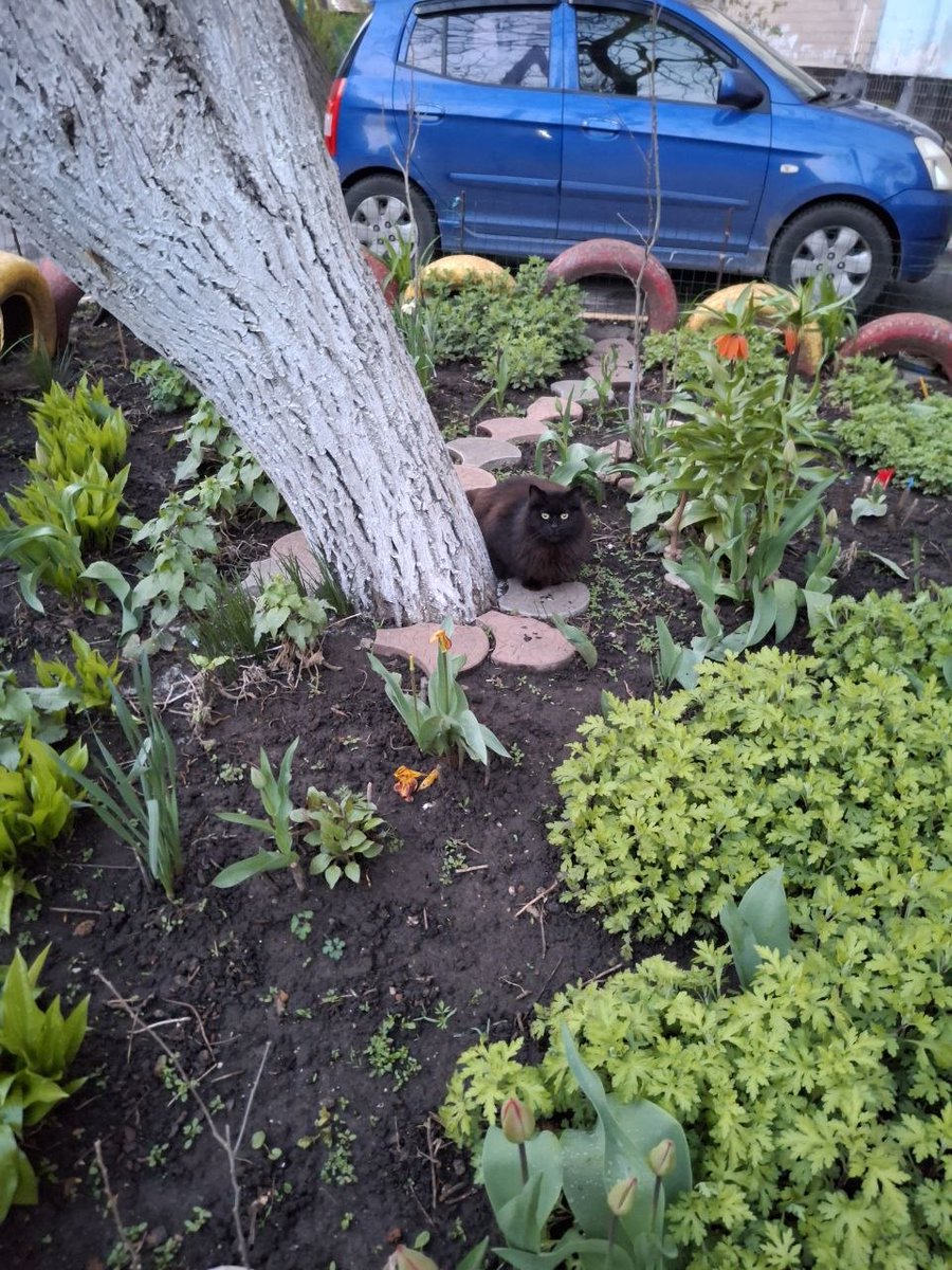 Максим Белый tweet media