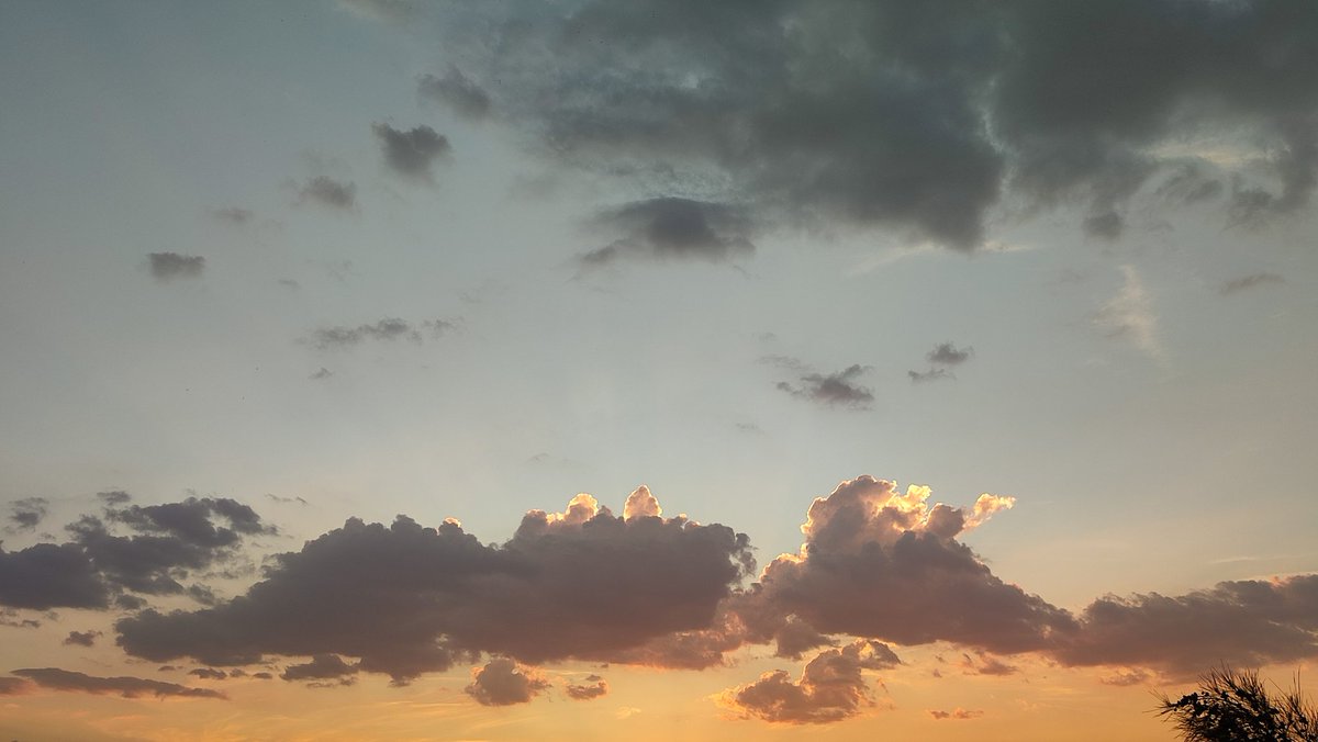 papi de marcelo y tlalli 🌋🇵🇸 tweet media