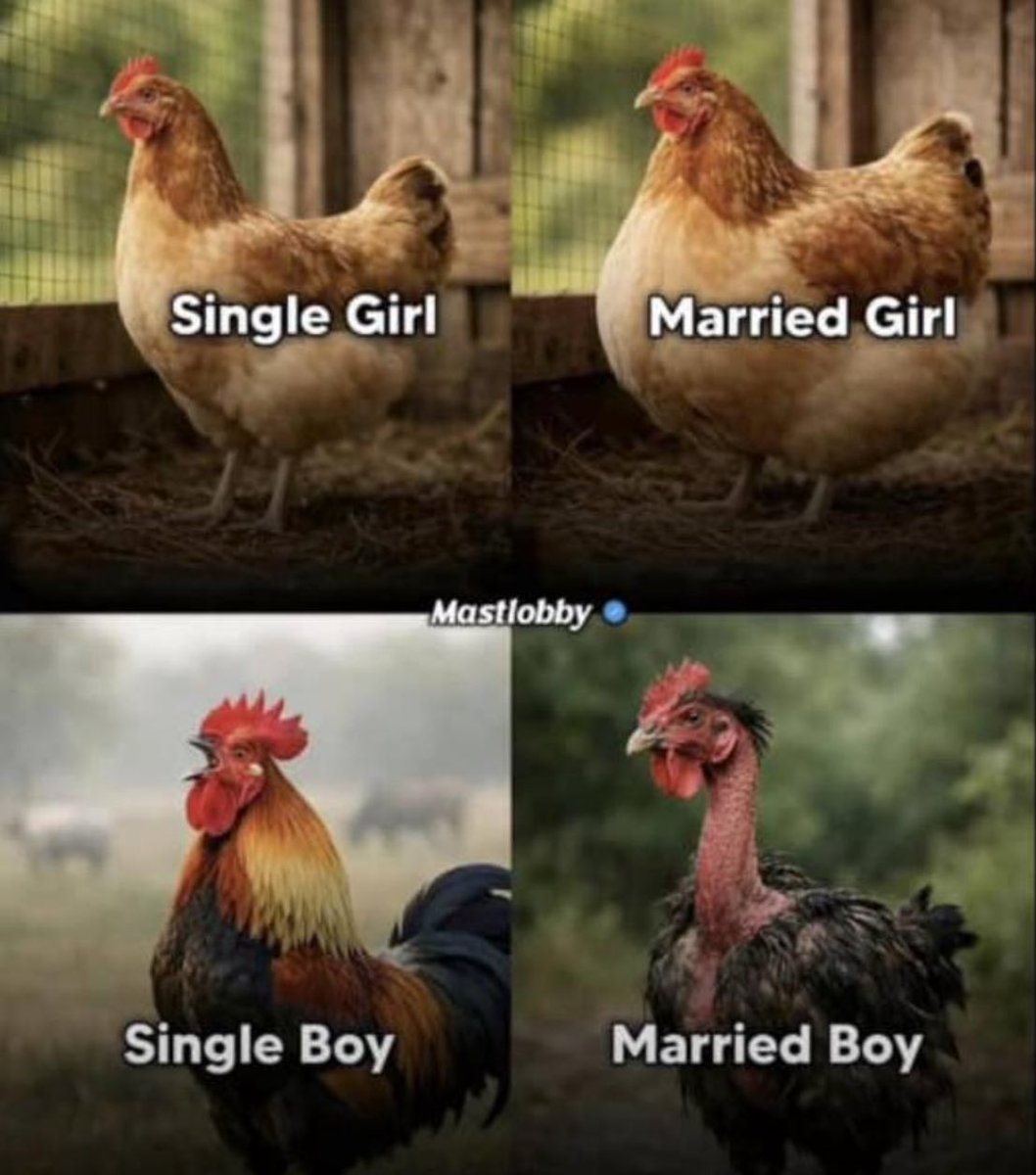 DAMI FOREIGN🥶 tweet media