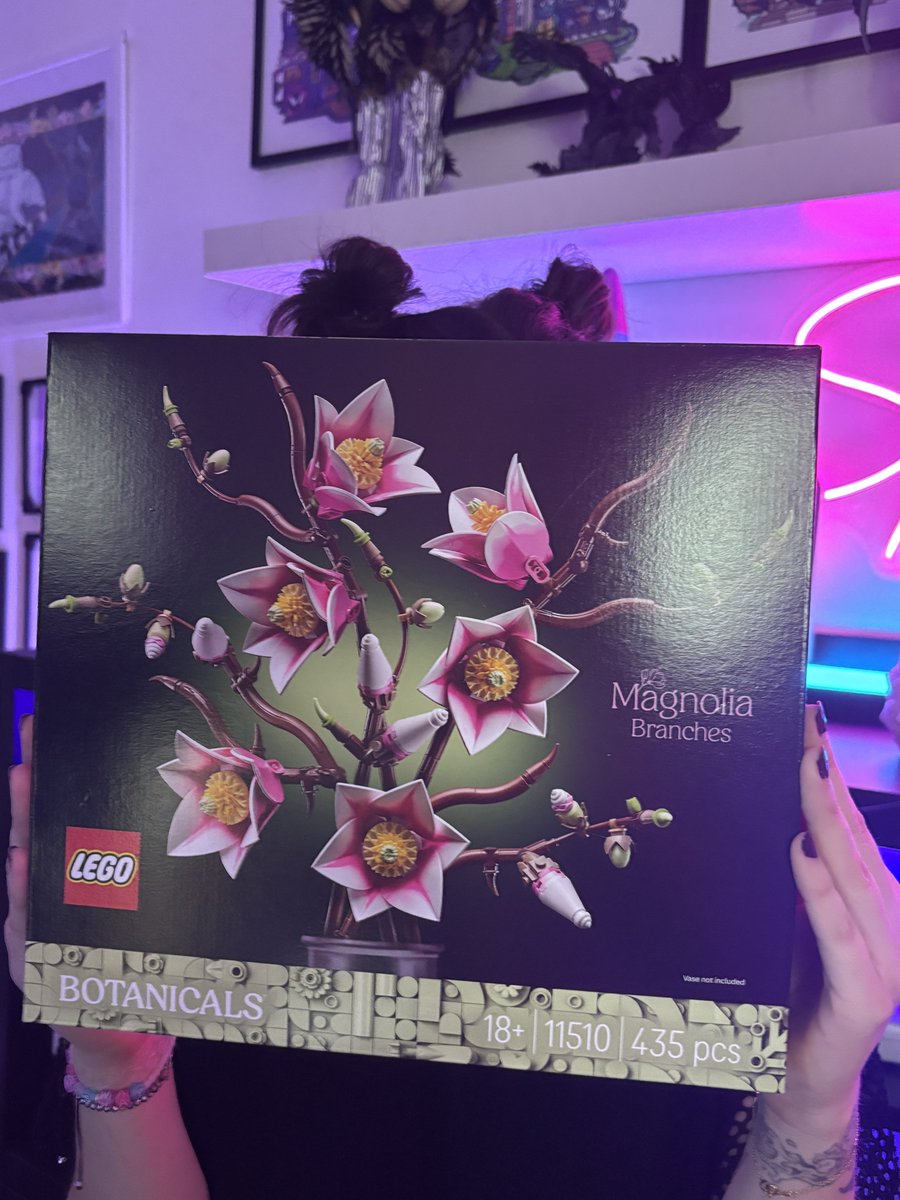 Spaurel1's tweet photo. En live avec Jay sur https://t.co/XwMEkwkjzB pour un max de lego https://t.co/FJAtN8Iikc