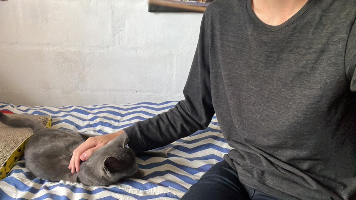 🌊⚓• Cheval ⚾ Gr♡nd •🎣💦 tweet media