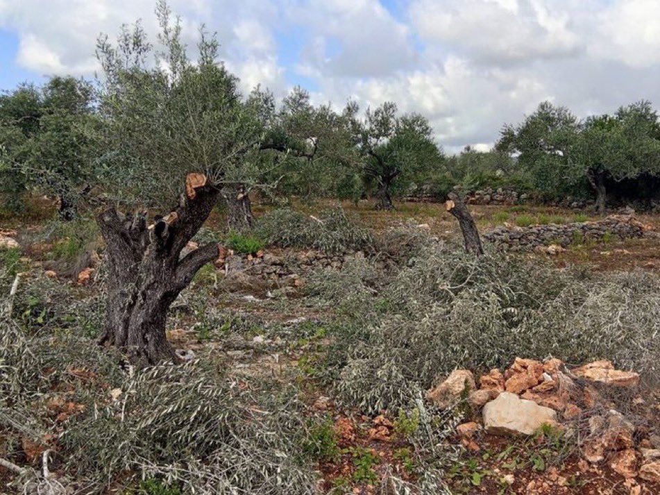 Daktilock tweet media