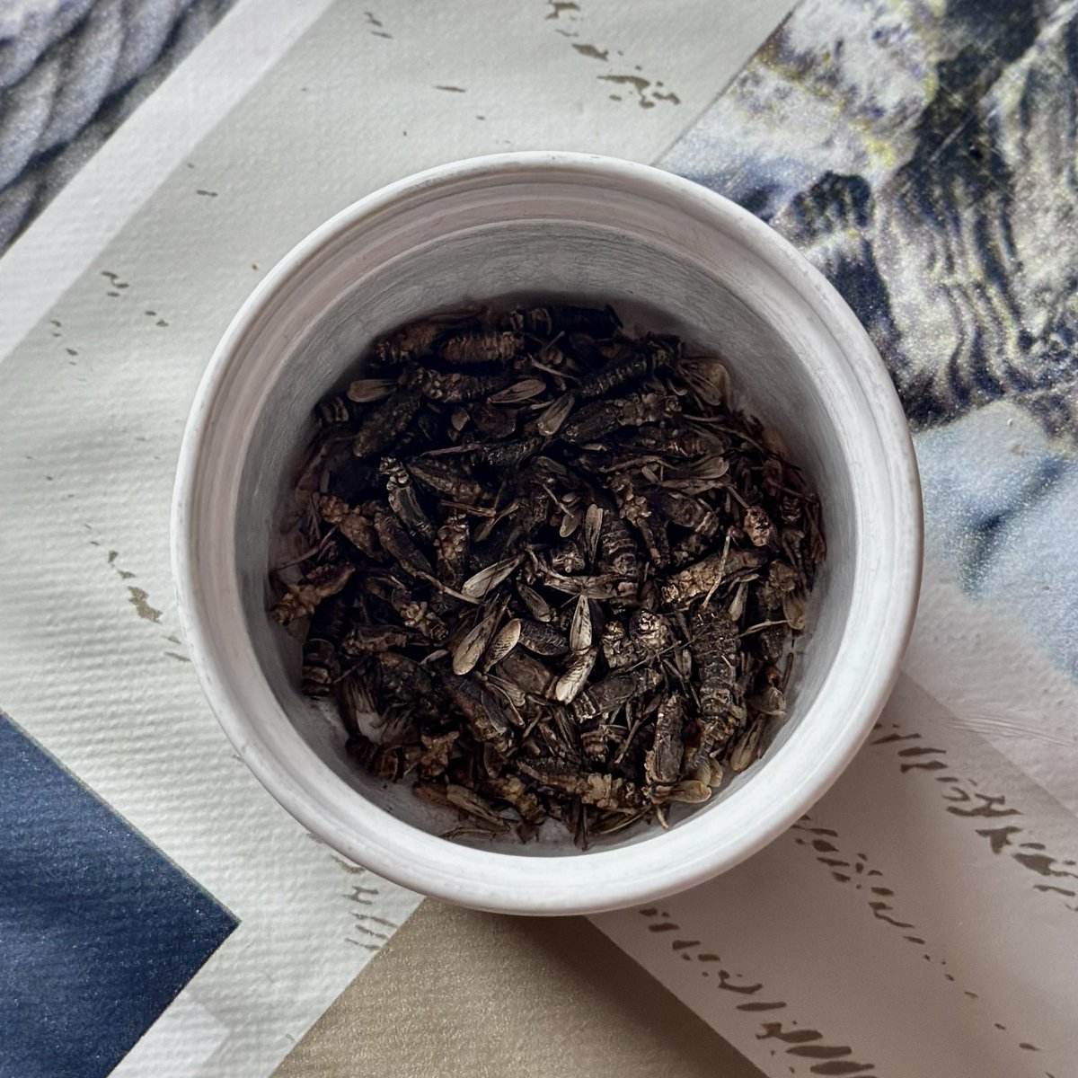 Jade ♱˚⋆ ⁺. tweet media