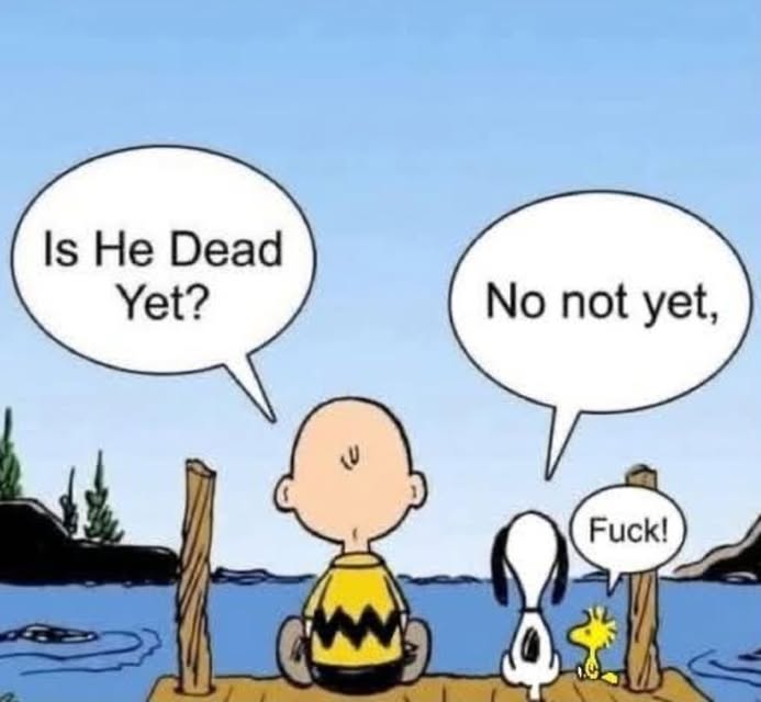 Magnus 🇸🇪🇺🇦🇬🇱 tweet media