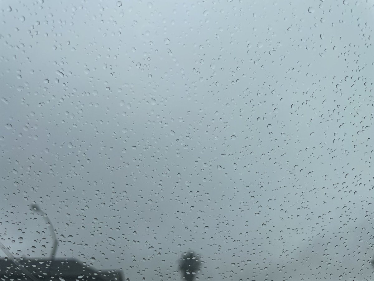 Yina's Cat Cave 伊娜的貓穴 tweet media