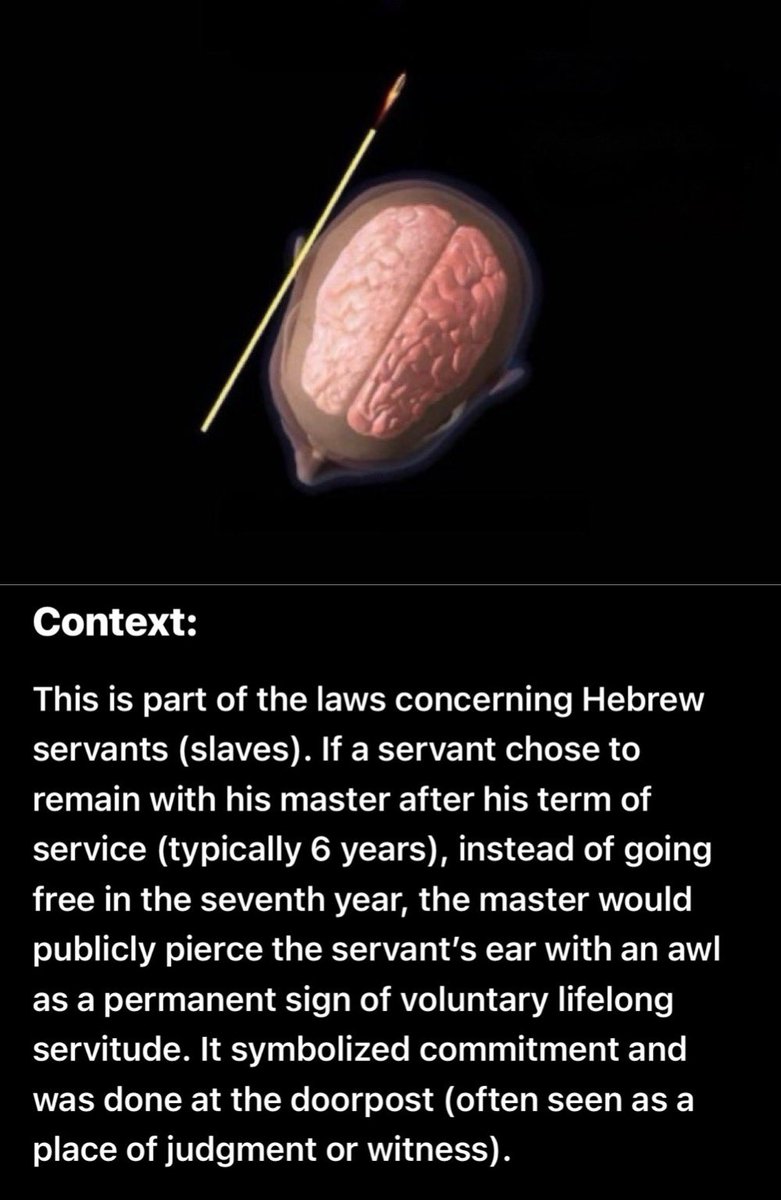 Henri Fjord tweet media