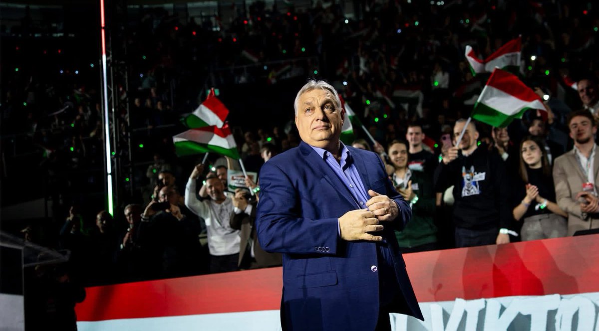 Oliver Adámek tweet media