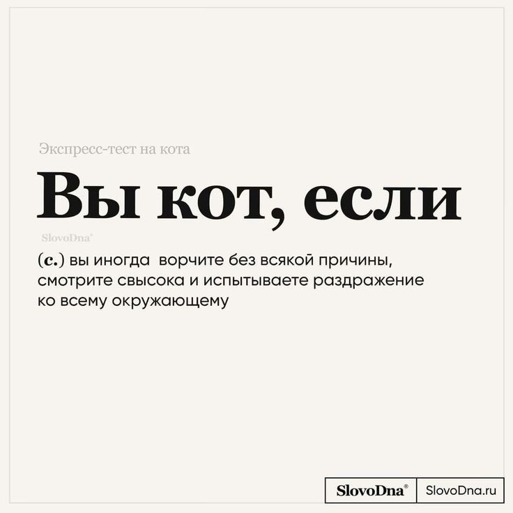 Кошкин папа 🐱 tweet media