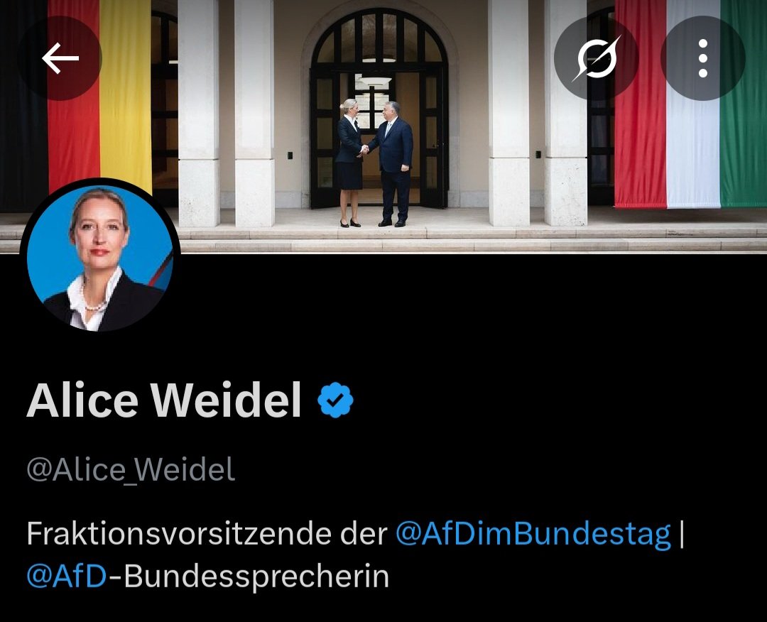 clyppers ᓚᘏᗢ ✪ 🇺🇦 🇪🇺 tweet media