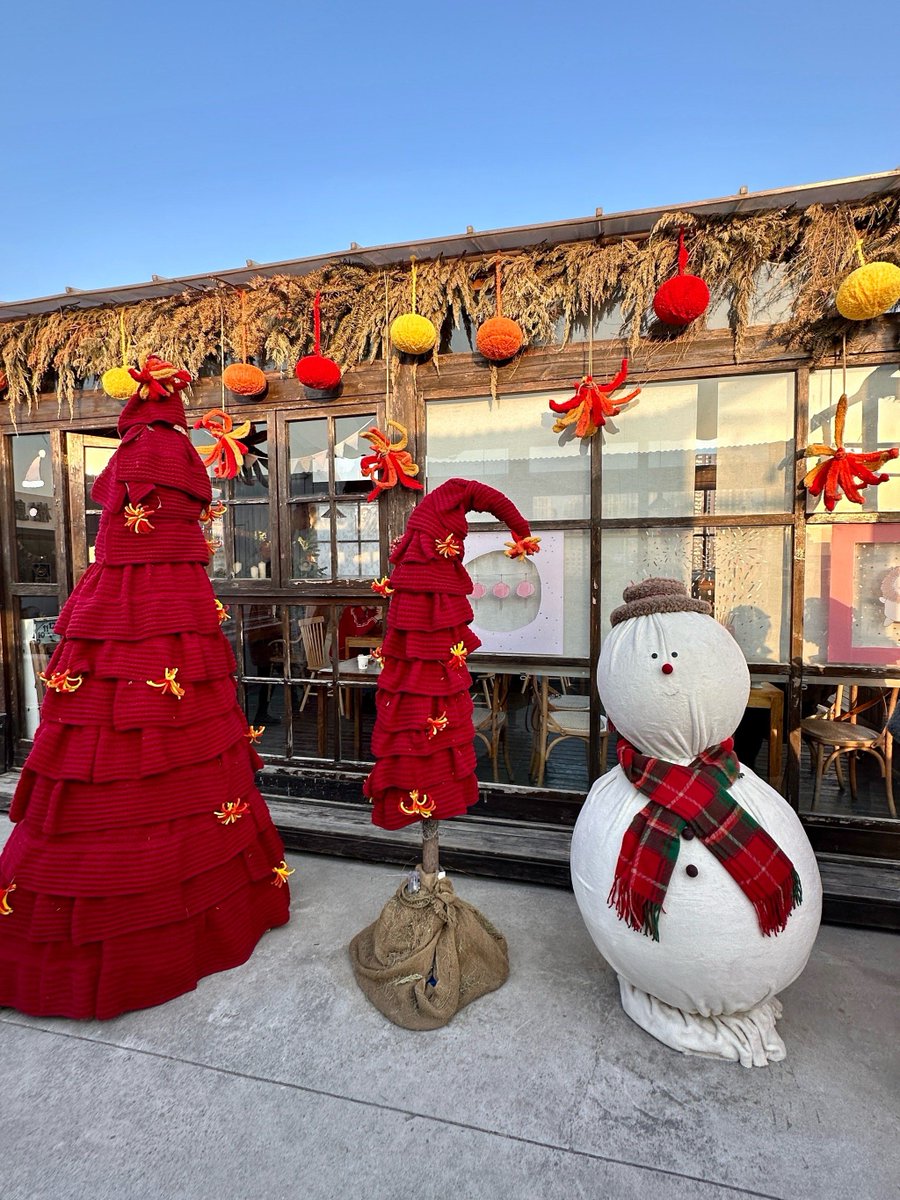 Jacquelyn Warnes tweet media