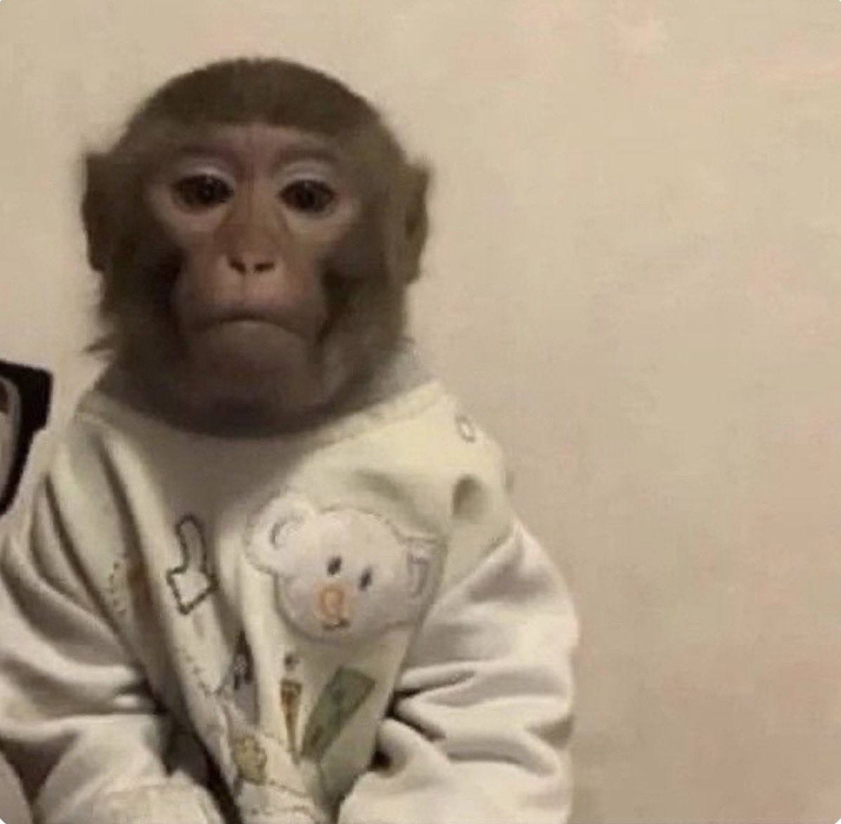 bibis VAI VER O BTS 🪭 tweet media