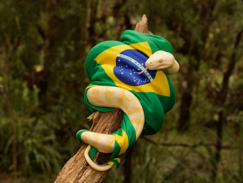 Começou a campanha, Acobra Brasil...

Acobra Brasil!!!